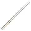 CANNE CASTING ABU GARCIA SALMON SEEKER CASTING ROD 2 CANNE CASTING ABU GARCIA SALMON SEEKER CASTING ROD -Canne Argent Soldes Boutique canne casting abu garcia salmon seeker rod z 2506 250669