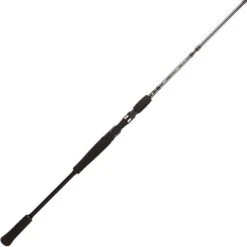 CANNE CASTING BFT RAPTOR G2 JERKBAIT