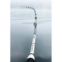 CANNE CASTING FISHING GHOST RENKY STICK 7 CANNE CASTING FISHING GHOST RENKY STICK -Canne Argent Soldes Boutique canne casting fishing ghost renky stick z 2537 253749 3