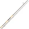 CANNE SPINNING ABU GARCIA BEAST PRO SPINNING ROD