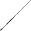 CANNE SPINNING ABU GARCIA IKE SIGN ROD MONO