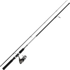 ENSEMBLE LANCER DAIWA SWEEPFIRE + DF