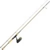 ENSEMBLE LANCER SPINNING + TRESSE DAIWA LEGALIS TSUKI 01/02 TRUITE & PERCHE 1 ENSEMBLE LANCER SPINNING + TRESSE DAIWA LEGALIS TSUKI 01/02 TRUITE & PERCHE -Canne Argent Soldes Boutique ensemble lancer spinning tresse daiwa legalis tsuki 01 02 truite perche z 1519 151931