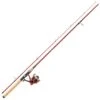 ENSEMBLE SPINNING BERKLEY CHERRYWOOD SPINNING COMBO -Canne Argent Soldes Boutique ensemble spinning berkley cherrywood combo z 2160 216044