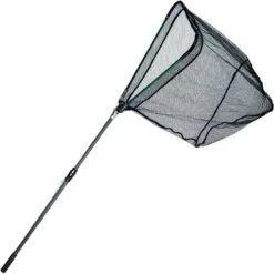 EPUISETTE AUTAIN LIZANT