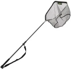 EPUISETTE GUNKI REINBO AREA